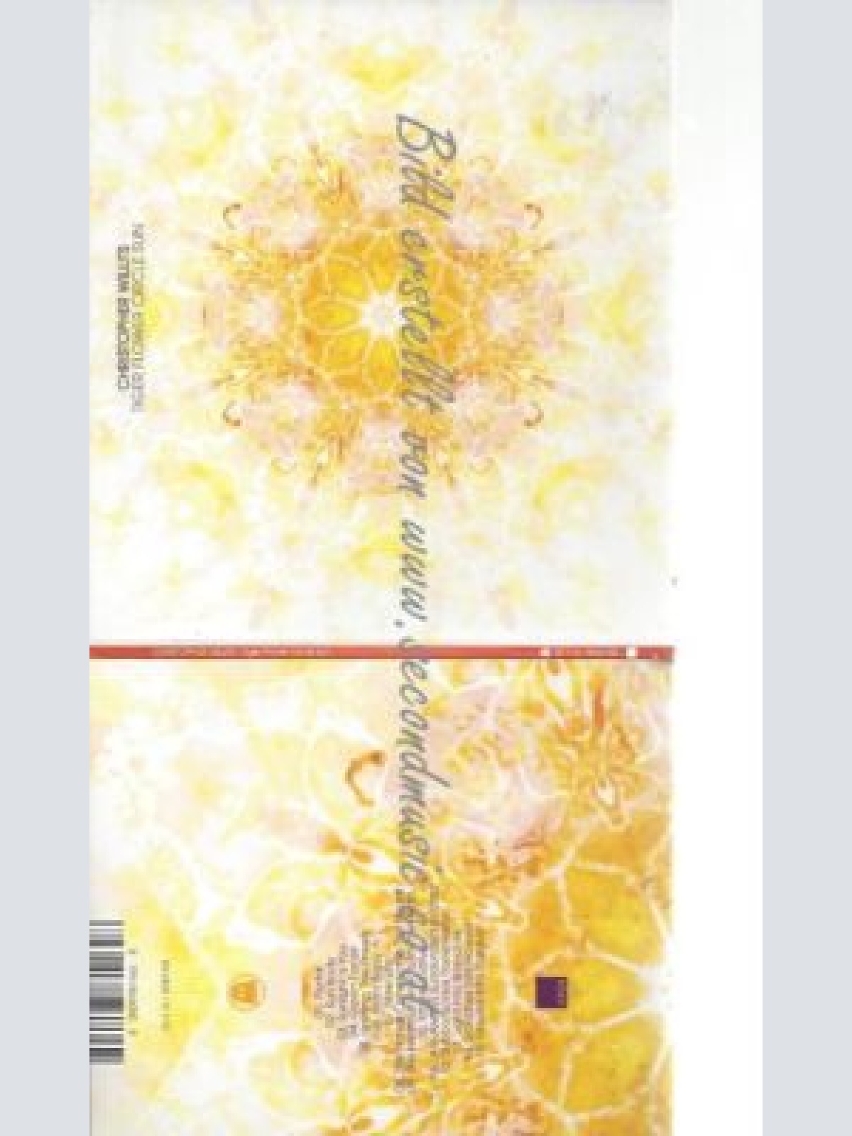 CD--CHRISTOPHER WILLITS--    TIGER FLOWER CIRCLE SUN