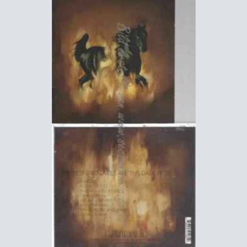 CD--THE BESNARD LAKES | --ARE THE DARK HORSE