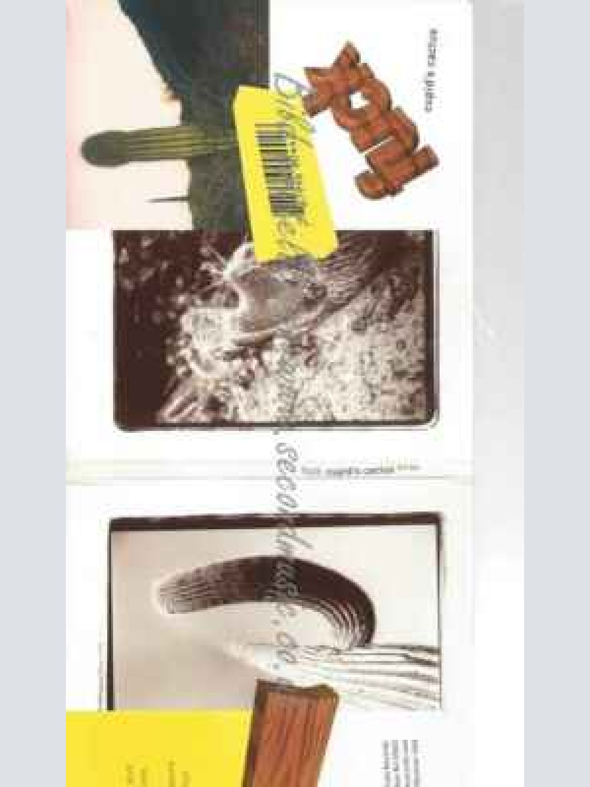 CD--FUCK | --CUPID'S CACTUS