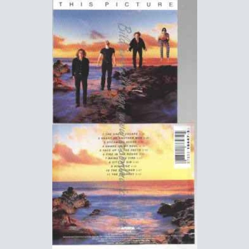 CD--THIS PICTURE | --FIERCE