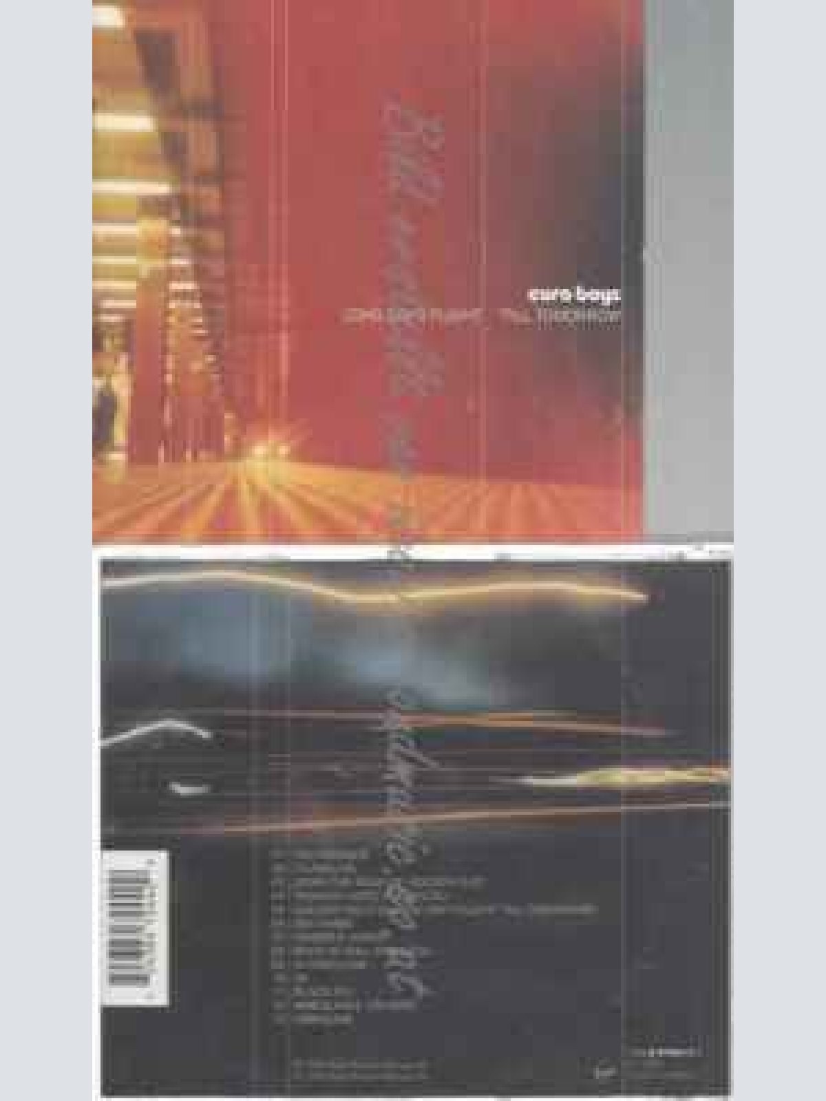 CD--EURO BOYS--LONG DAY'S FLIGHT 'TILL TOMORROW