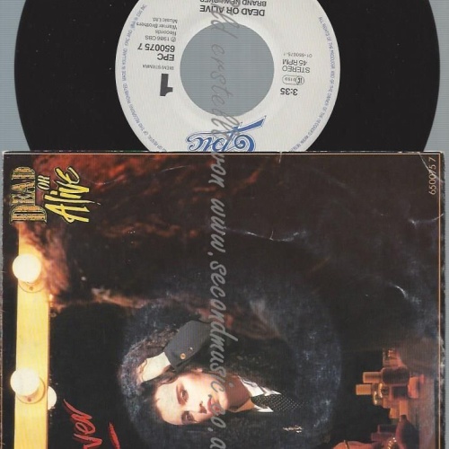 7"   Dead Or Alive  Brand New Lover