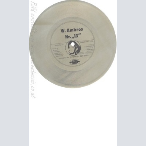 7" FLEXI--WOLFGANG AMBROS--NR 13---GOLD --FLEXI