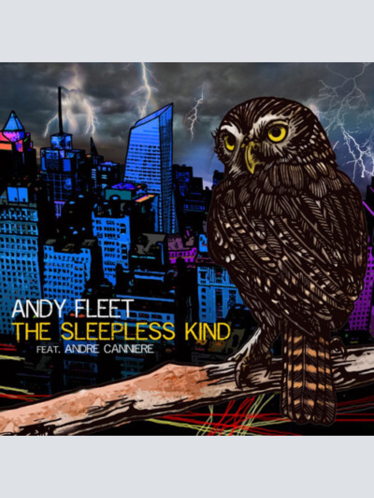 CD, Album Andy Fleet - The Sleepless Kind