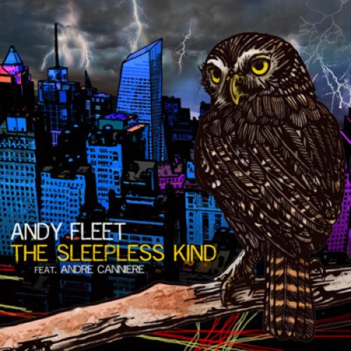 CD, Album Andy Fleet - The Sleepless Kind
