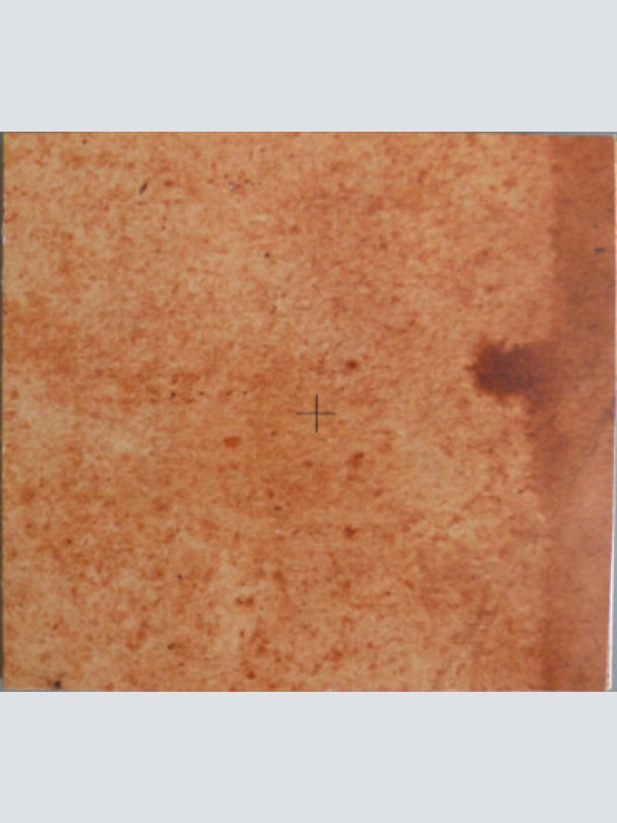 CD, EP Brouillard - Brouillard