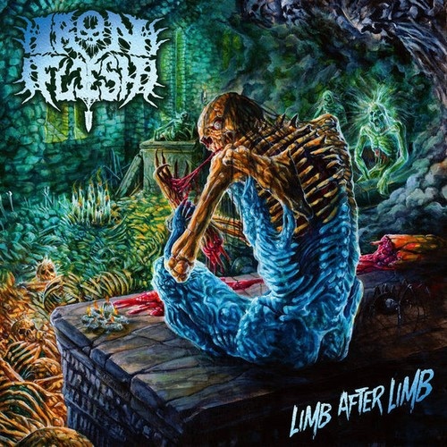 CD, Album Iron Flesh - Limb After Limb