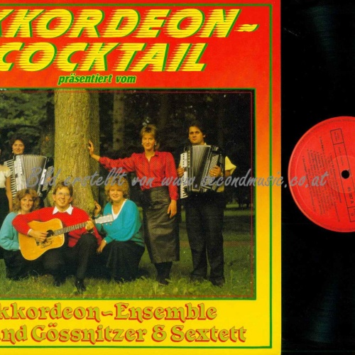 LP-- Akkordeon  Ensemble Roland Gössnitzer & Sextett  /NM