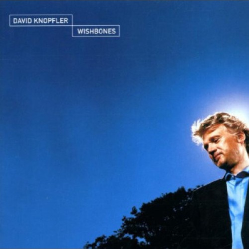 CD, Album David Knopfler - Wishbones