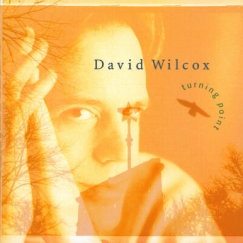 HDCD, Album David Wilcox - Turning Point