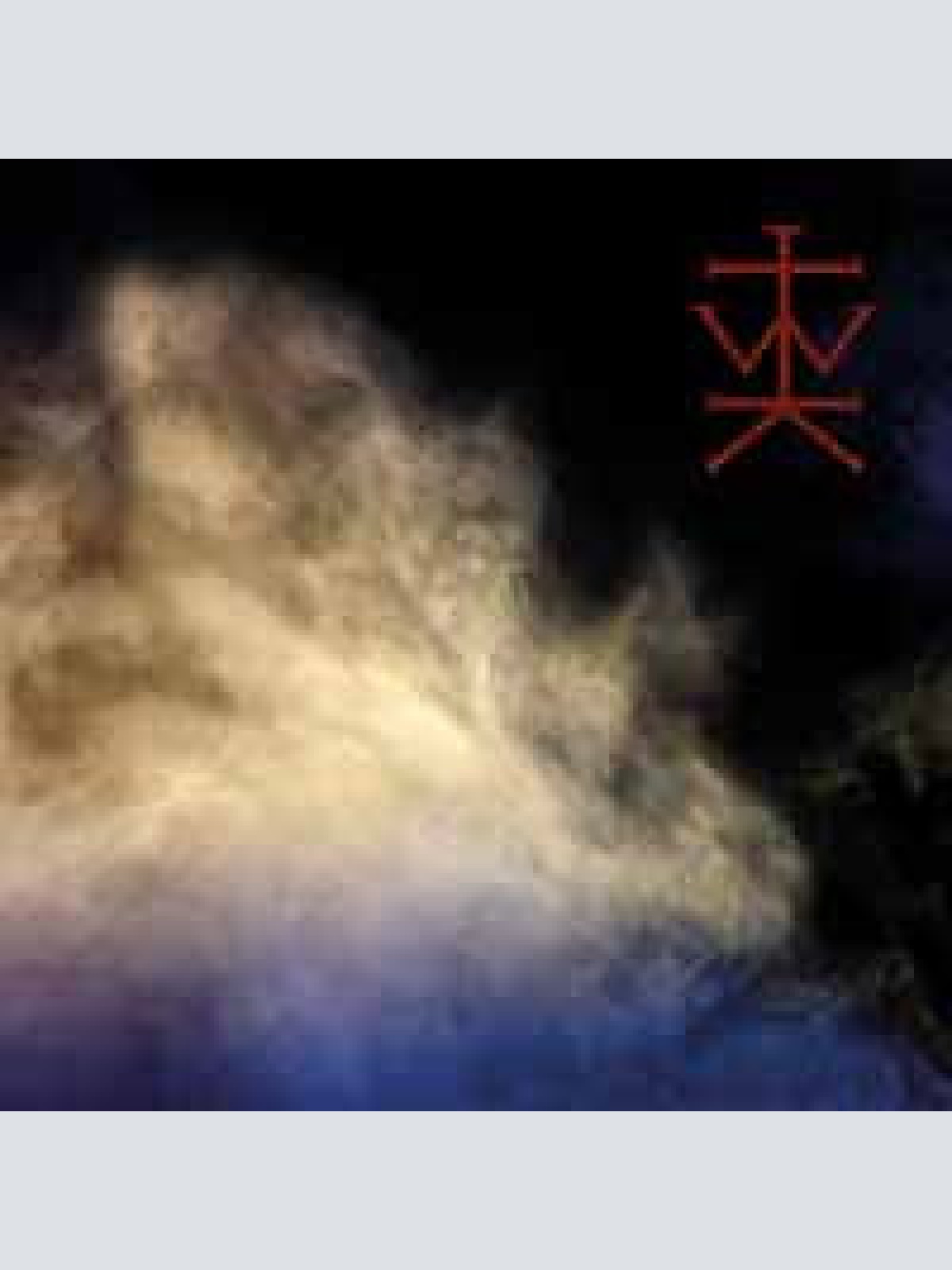 CD, Album The Wounded Kings - Consolamentum