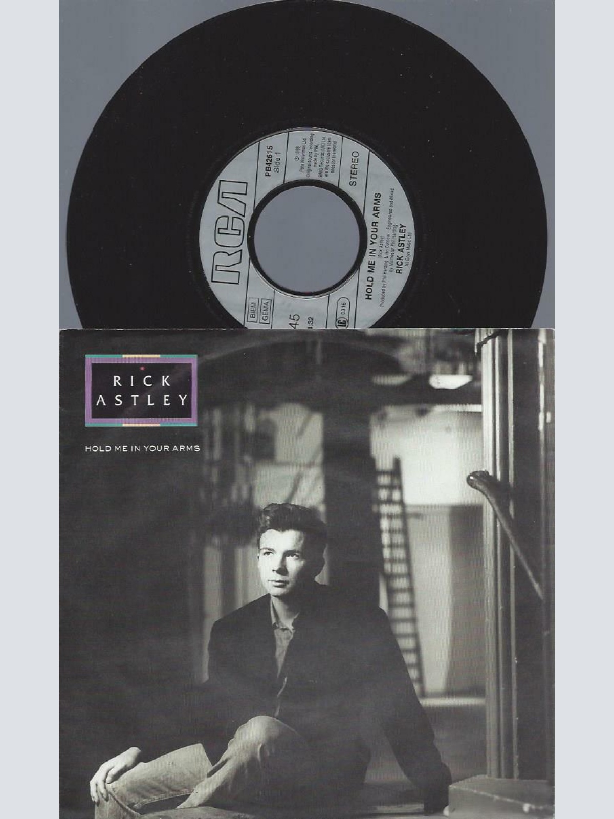 7"    Rick Astley  Hold Me In Your Arms