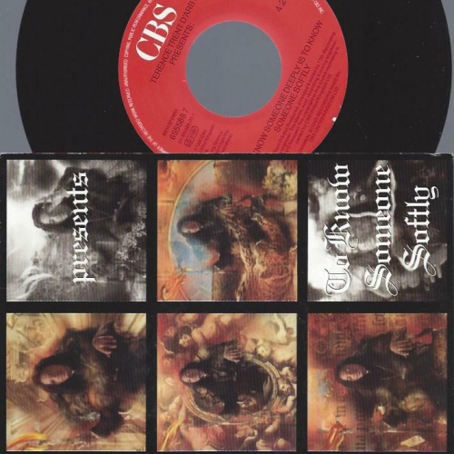 7"    Terence Trent D'Arby  To Know Someone Deeply Is To Know Someone Softly