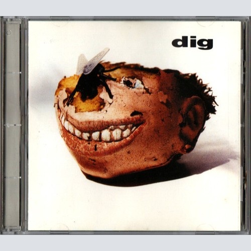 CD, Album Dig - Dig