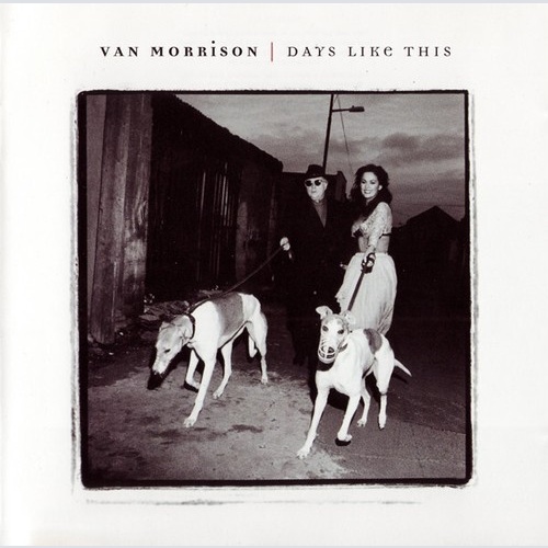 CD, Album Van Morrison - Days Like This