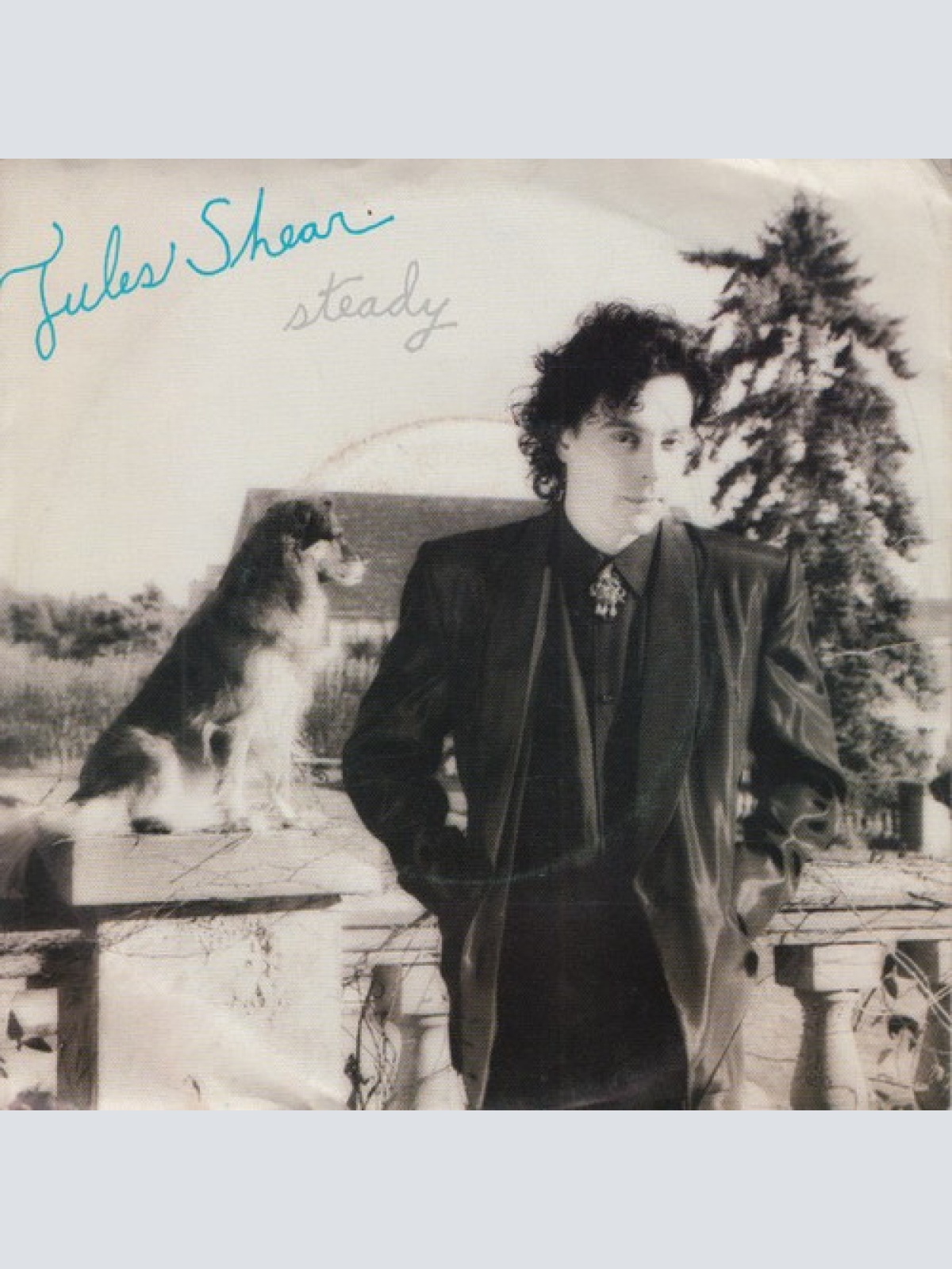 7", Single Jules Shear - Steady