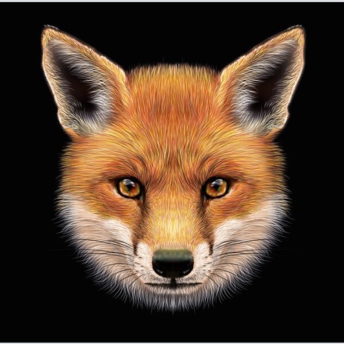 LP, Ltd + CD, Album Les Machines Molles - The Fox And Other Stories