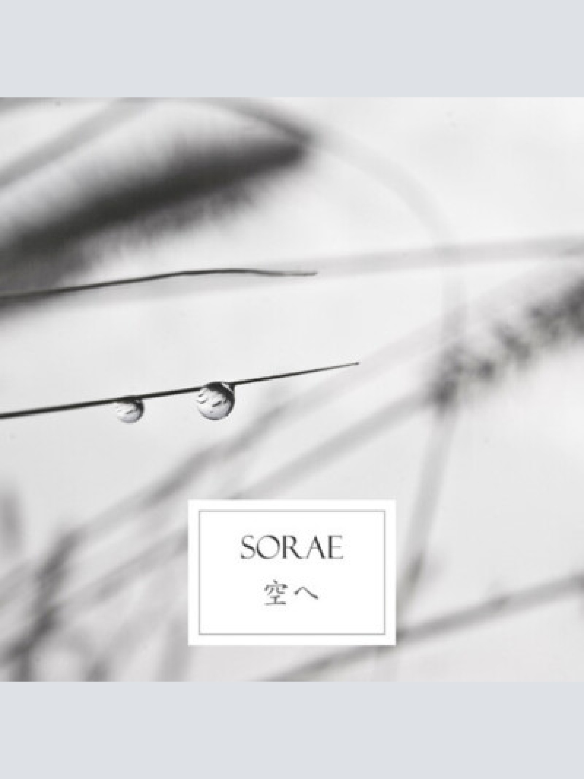 CD, Album Sorae - Sorae