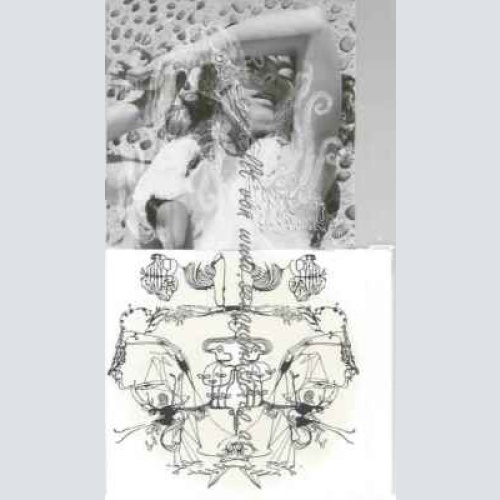 CD--Björk--Vespertine