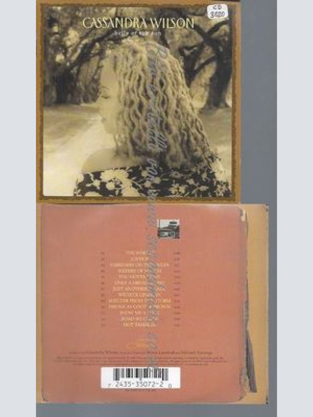 CD--CASSANDRA WILSON--BELLY OF THE SUN