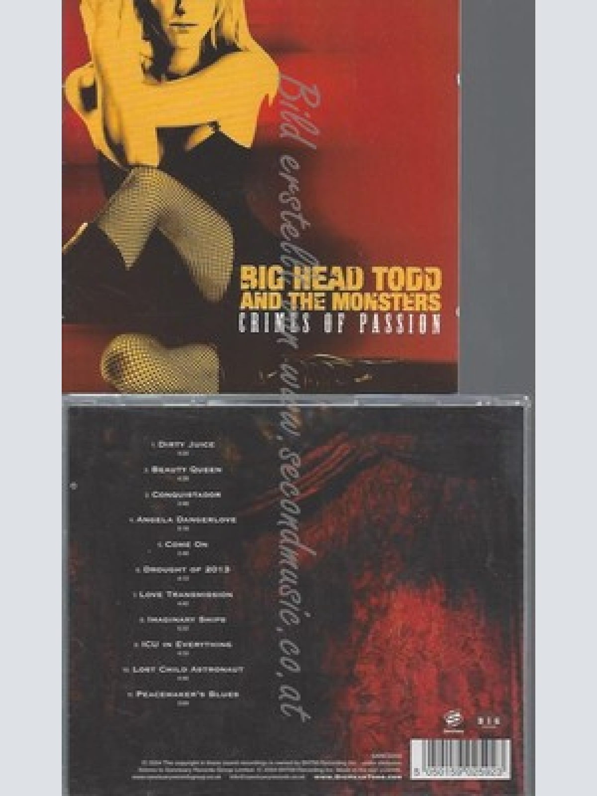 CD--BIG HEAD TODD & THE MONSTERS--CRIMES OF PASSION