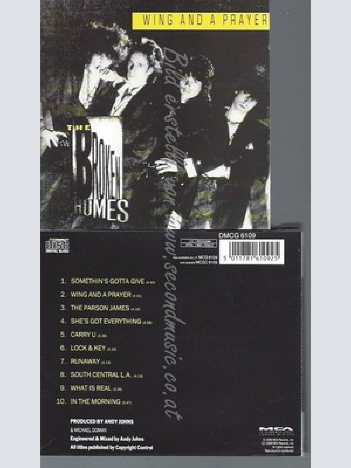 CD--THE BROKEN HOMES--WING AND A PRAYER