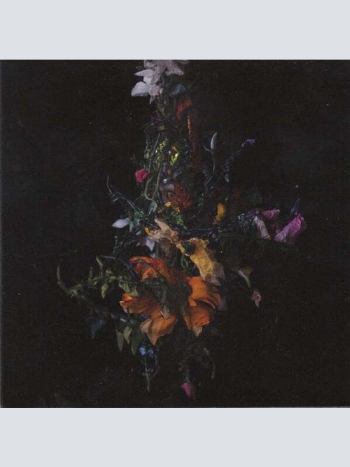 CD, Album Big Brave - Nature Morte