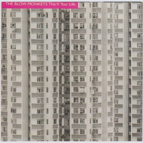 7", Single The Blow Monkeys - This Is Your Life