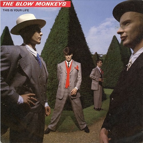 7", Single The Blow Monkeys - This Is Your Life