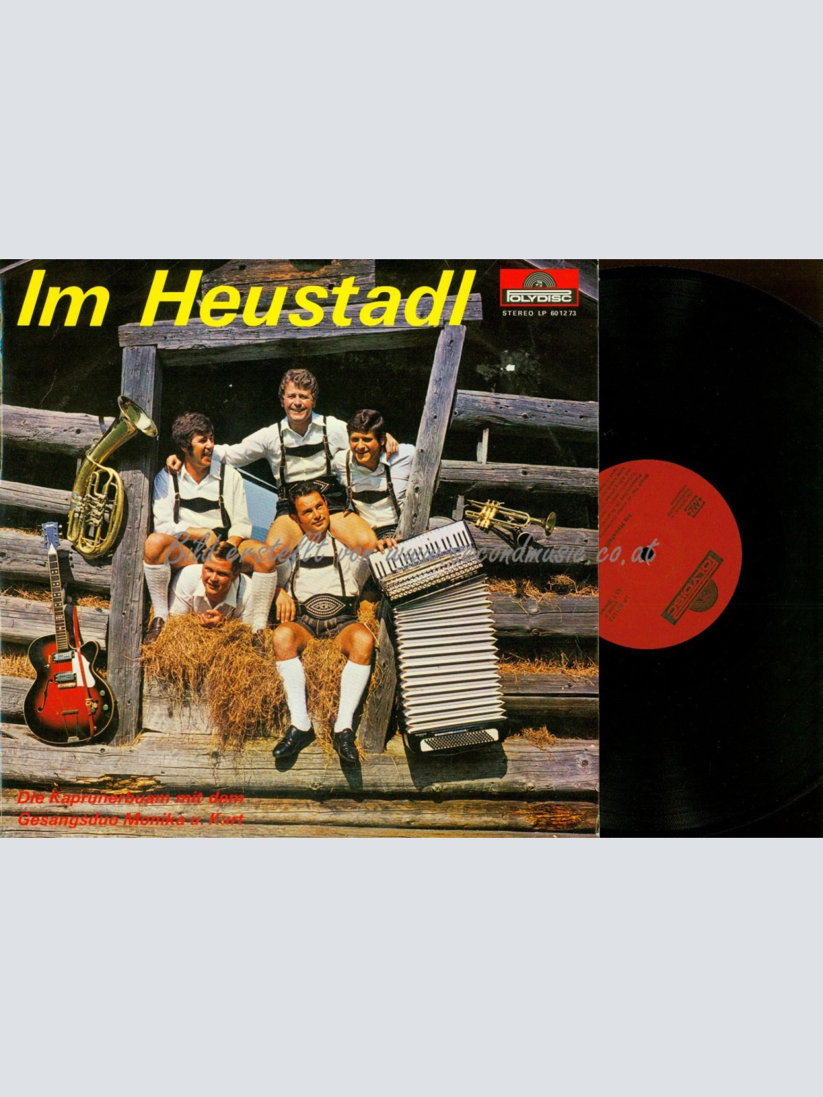 LP-DIE KAPRUNERBUAM IM HEUSTADL