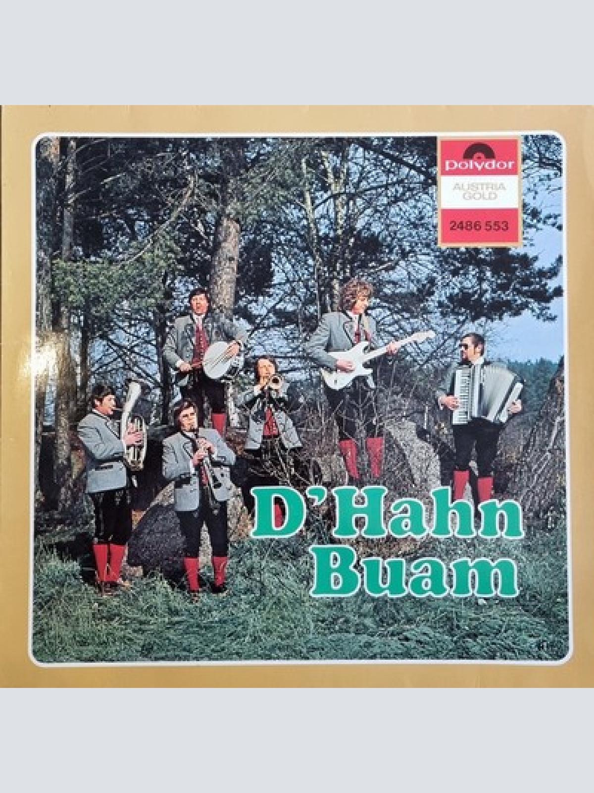 LP, Album D' Hahn Buam - D' Hahn Buam