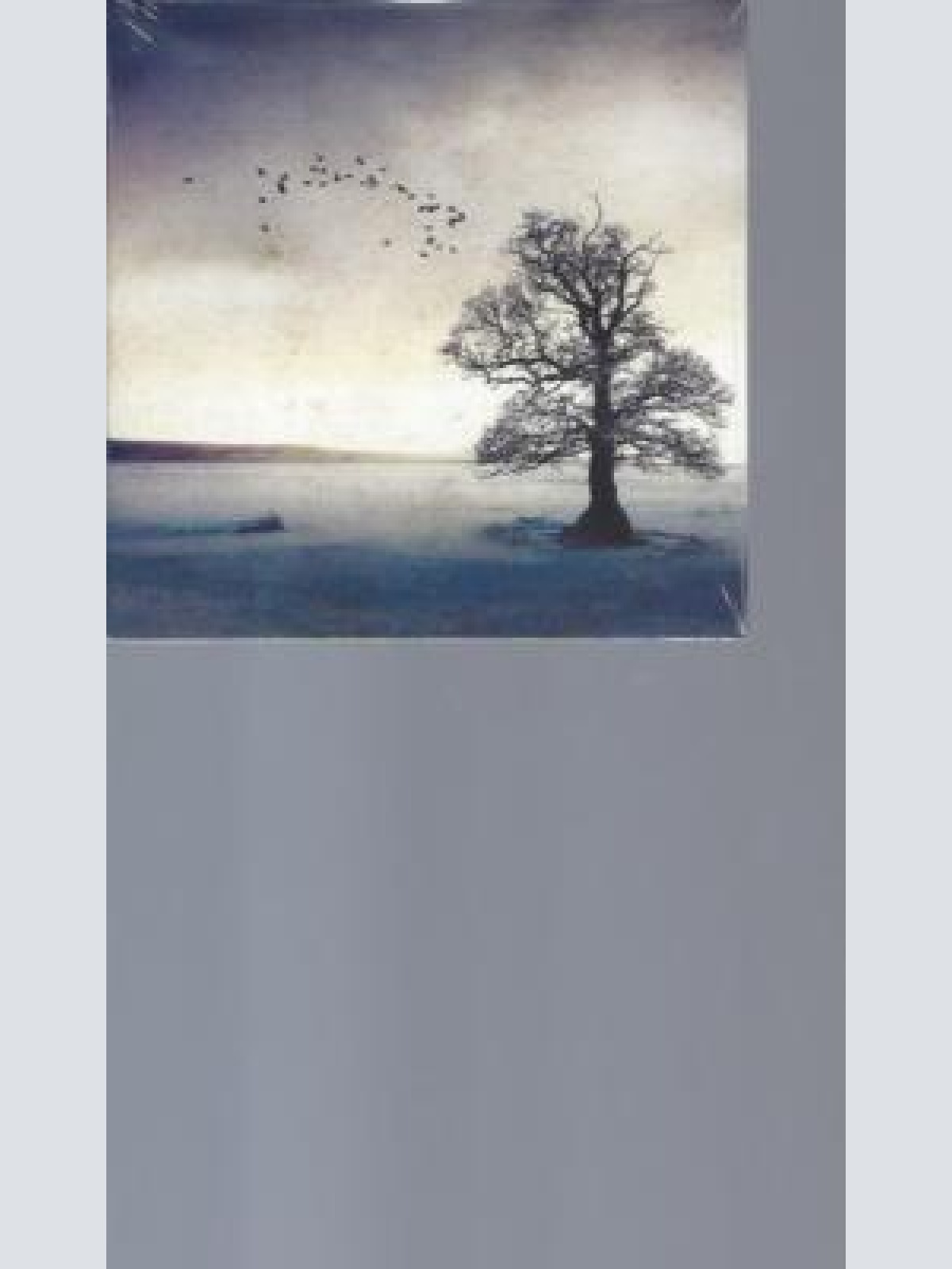 CD--BLUE MEADOWS THE RIVER