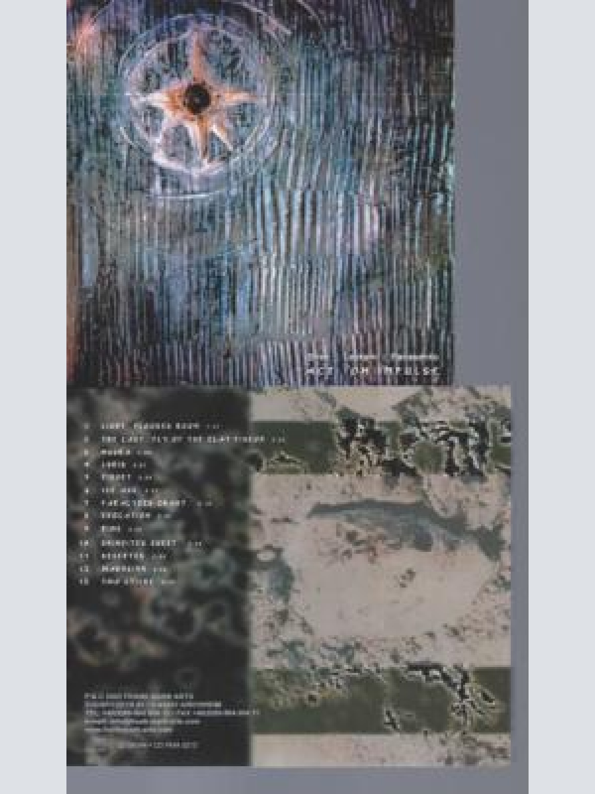 CD--BIRKE LEYKAM PANASENKO ACT ON IMPULSE