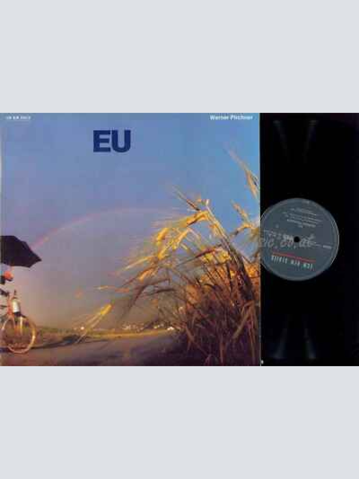 DLP-- Werner Pirchner  EU // ECM 1314
