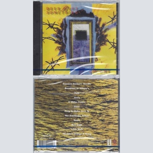 CD--NM-SEALED-DEEP BLUE SOMETHING -1996- -- HOME