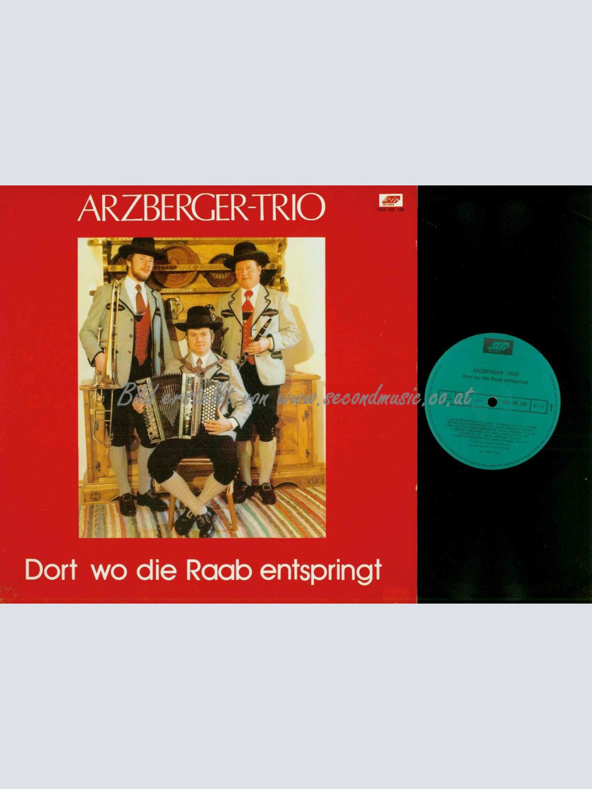 LP-Arzberger-Trio – Dort Wo Die Raab Entspringt  /NM /