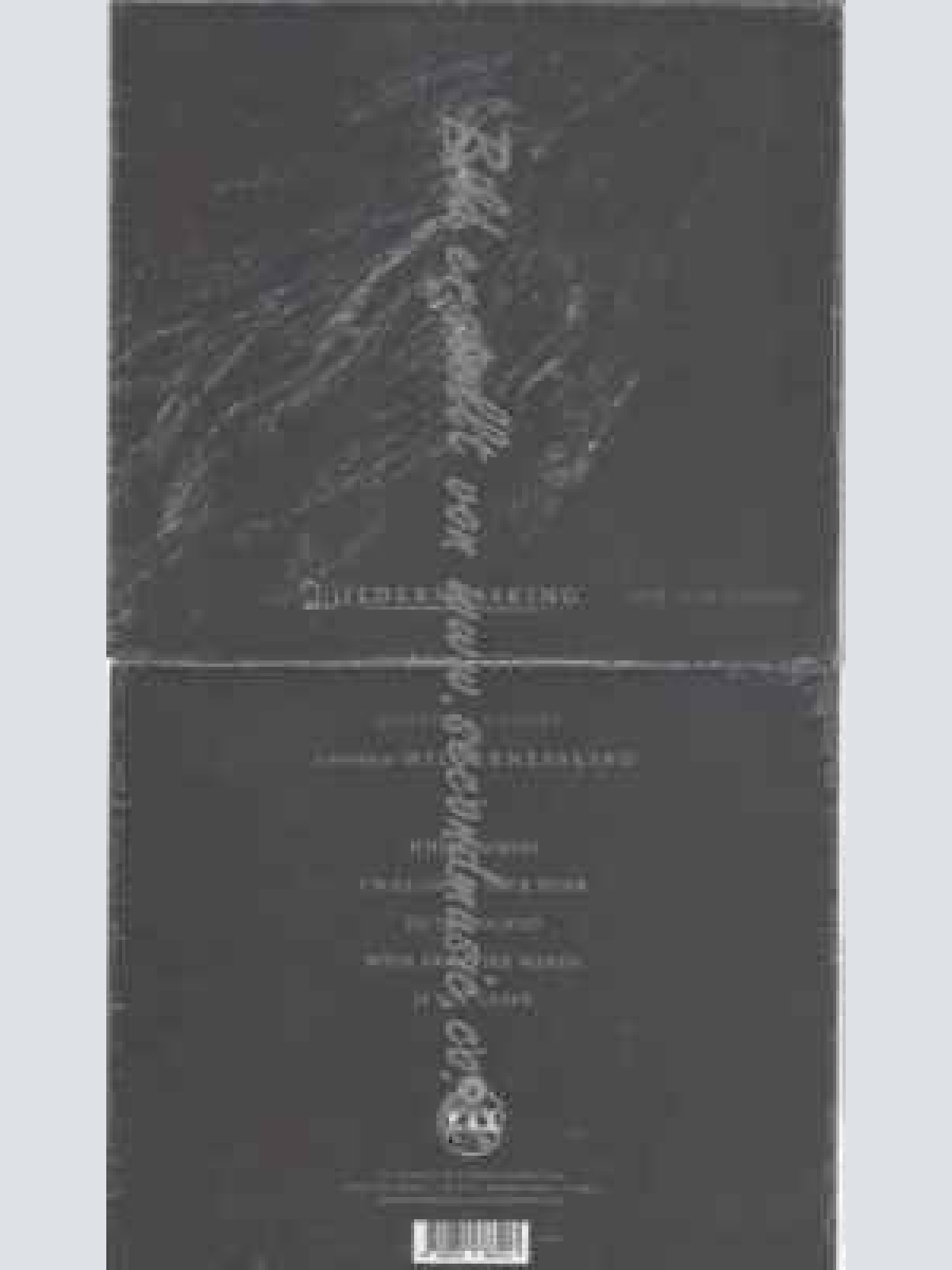 CD--Wildernessking--Mystical Future