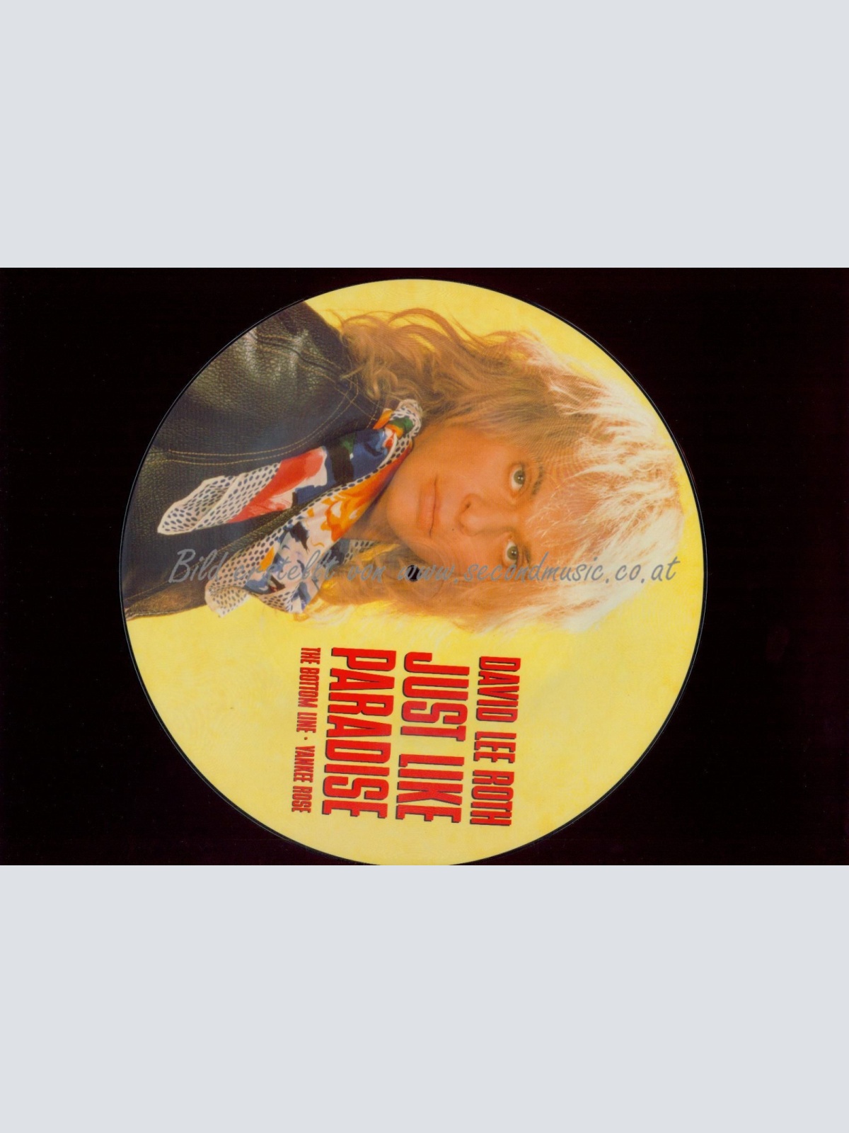 DAVID LEE ROTH JUST LIKE PARADISE   // PICTURE LP /