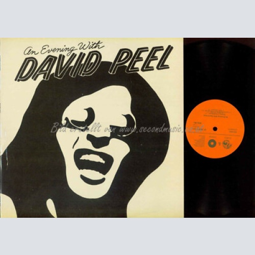LP-  David Peel & The Lower East Side – An Evening With David Peel  // CZ