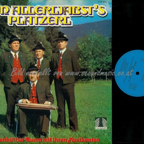 LP--  Regenhüttler Buam -- Mein Allerliabst's Platzerl  / NM