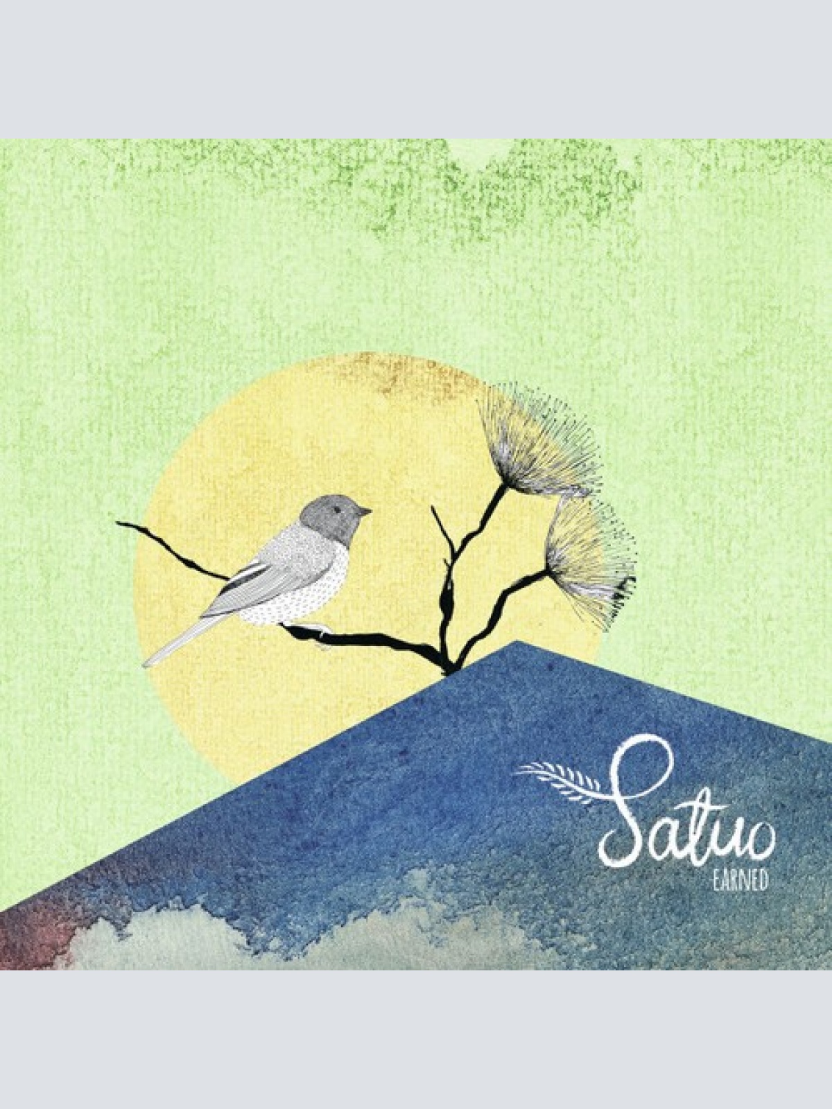 CD, Album Satuo - Earned