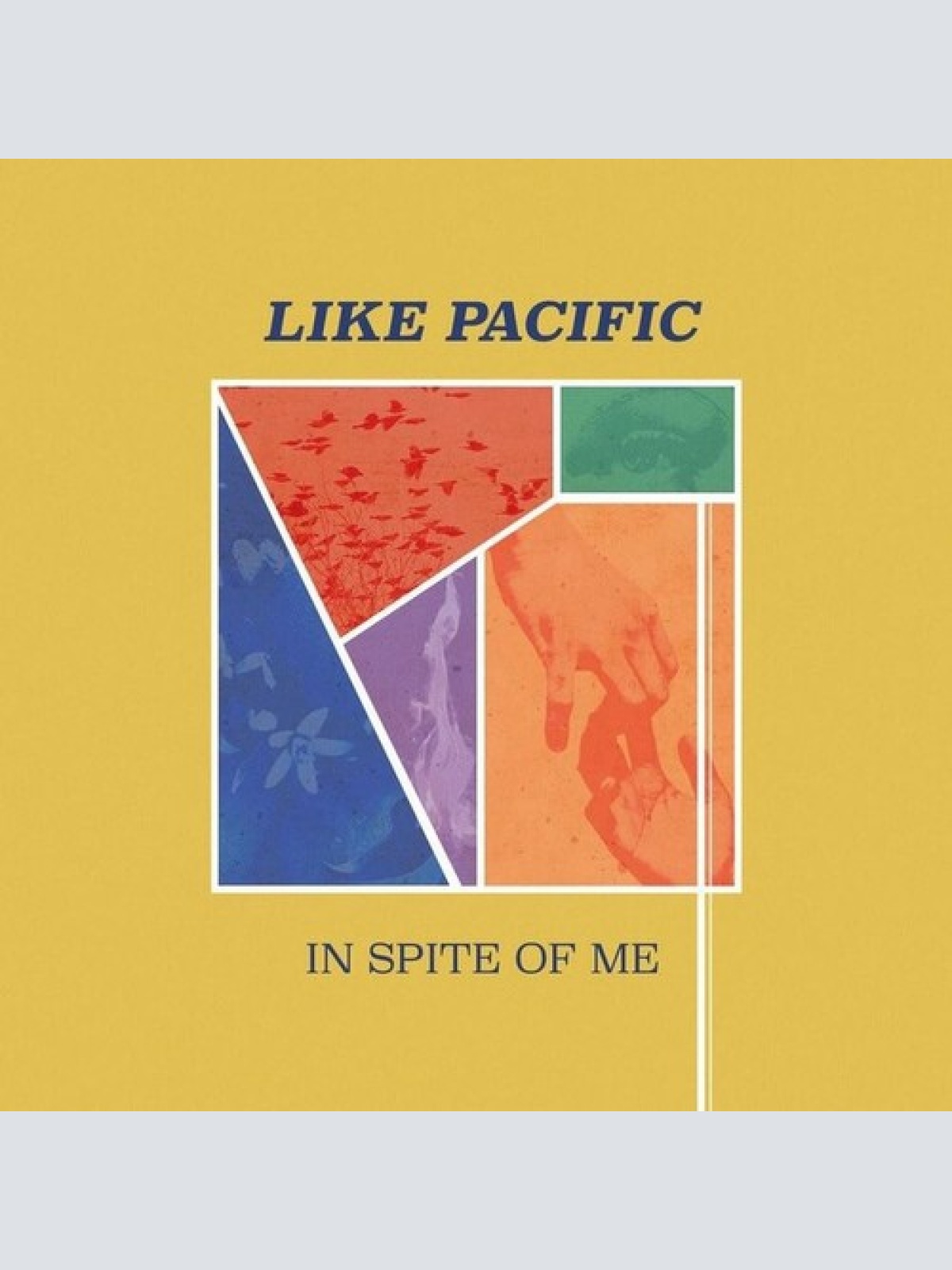 LP, Album, Pur Like Pacific - In Spite Of Me