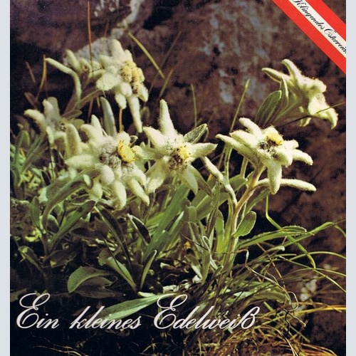 LP Various - Ein Kleines Edelweiss