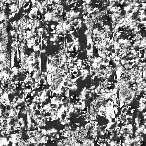 12", EP Perspex Flesh - Ordered Image