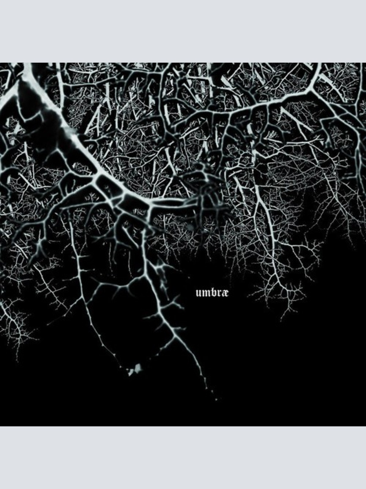 CD, EP, Ltd, Num Necifer - Umbræ