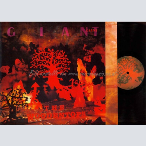 LP--   The Woodentops  Giant