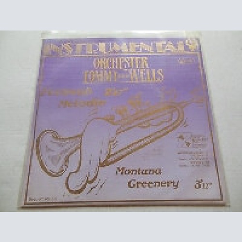 7", Single Orchester Tommy Wells - Fernweh Melodie