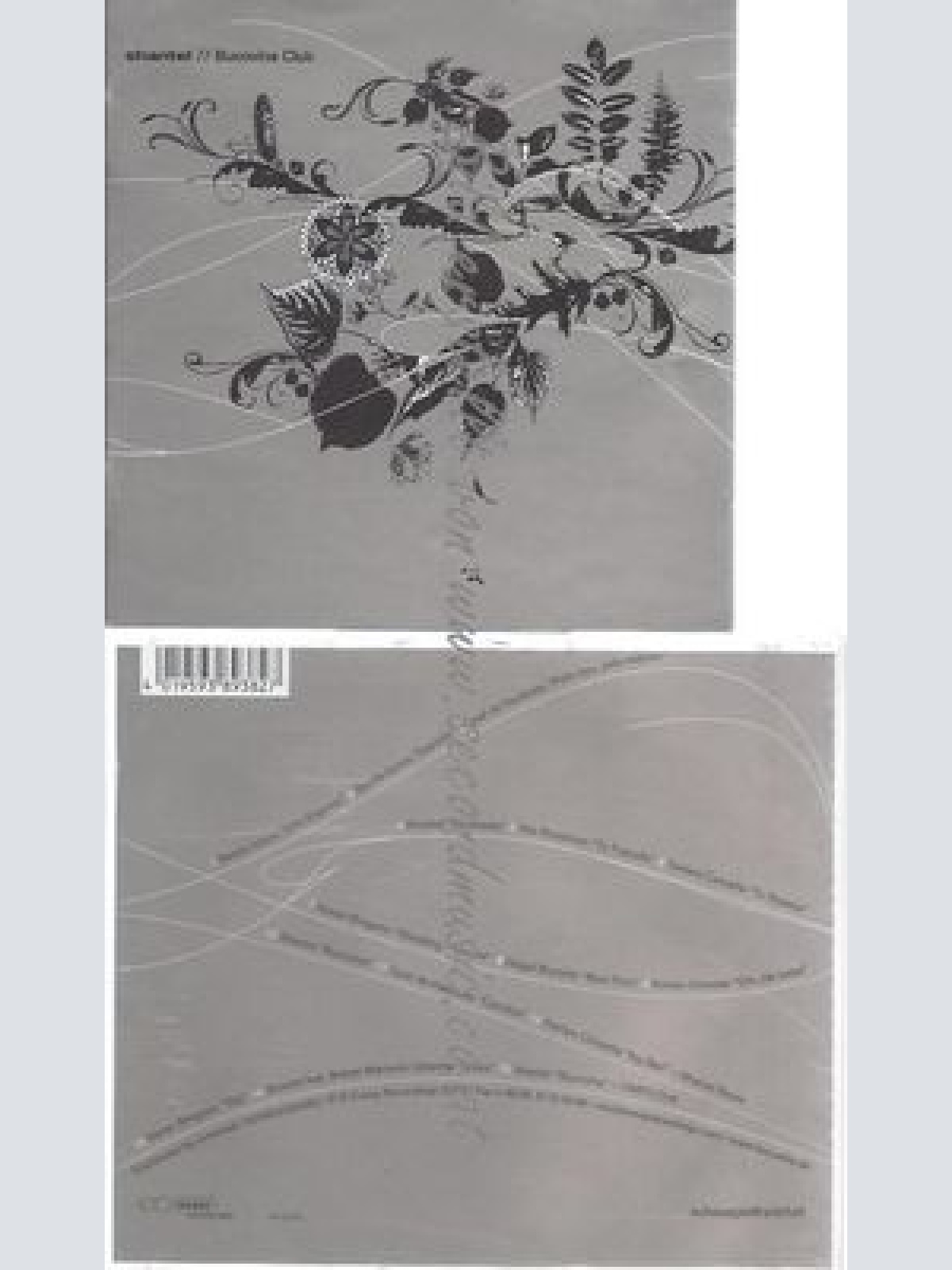 CD--SHANTEL--SHANTEL: BUCOVINA CLUB