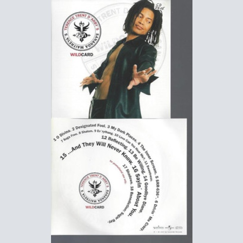 CD-TERENCE TREND D'ARBY'S WILDCARD //PROMO