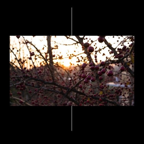 CD, Ltd Seventh Genocide, Okydrones, Onirica (4), Fortisleo - Seventh Genocid...